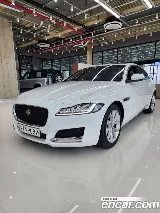 продажа JAGUAR XF (X260)